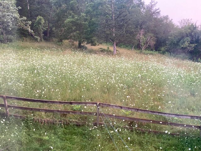 36415 Homer Valley Lane, Homer Twp, MN 55987