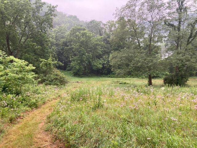 36415 Homer Valley Lane, Homer Twp, MN 55987