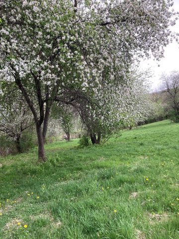 36415 Homer Valley Lane, Homer Twp, MN 55987