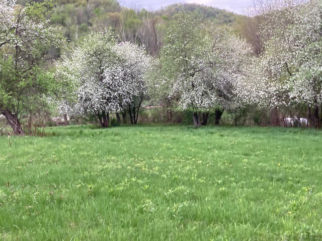 36415 Homer Valley Lane, Homer Twp, MN 55987