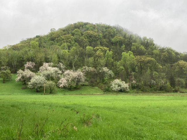 36415 Homer Valley Lane, Homer Twp, MN 55987