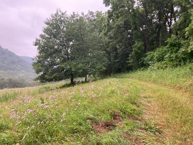 36415 Homer Valley Lane, Homer Twp, MN 55987