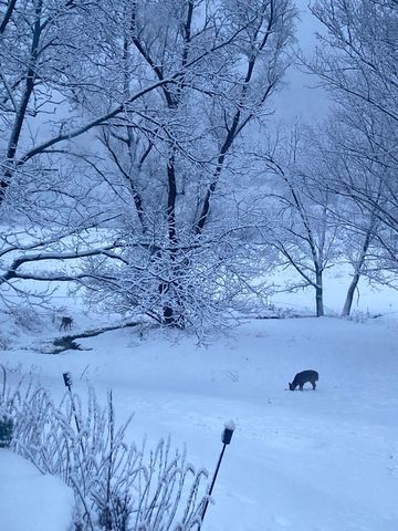 36415 Homer Valley Lane, Homer Twp, MN 55987