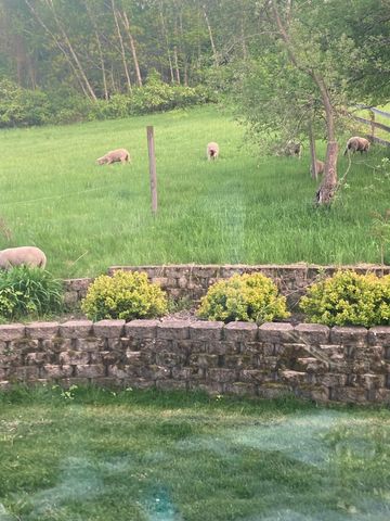 36415 Homer Valley Lane, Homer Twp, MN 55987