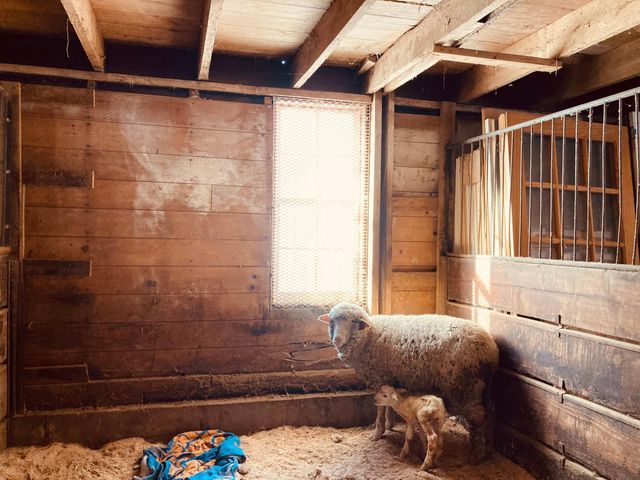 36415 Homer Valley Lane, Homer Twp, MN 55987