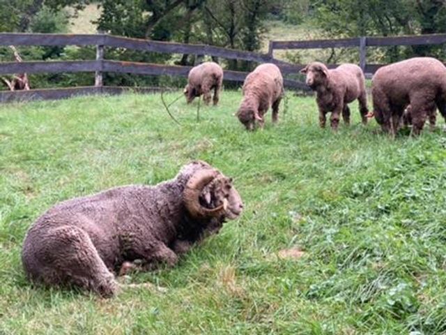 36415 Homer Valley Lane, Homer Twp, MN 55987