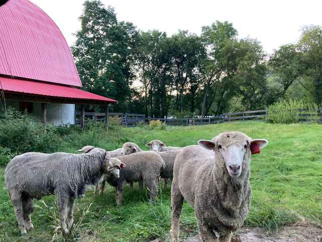 36415 Homer Valley Lane, Homer Twp, MN 55987