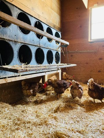 36415 Homer Valley Lane, Homer Twp, MN 55987