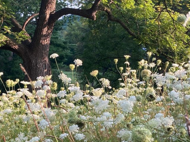 36415 Homer Valley Lane, Homer Twp, MN 55987