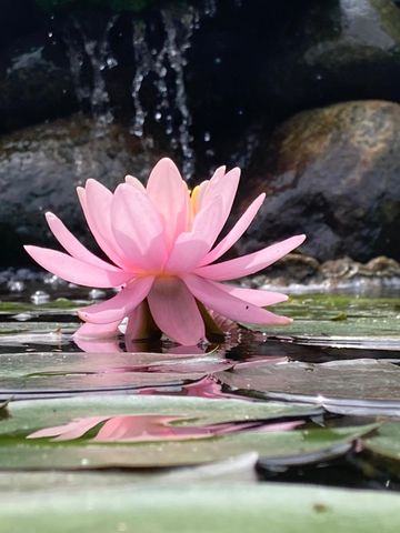 36415 Homer Valley Lane, Homer Twp, MN 55987