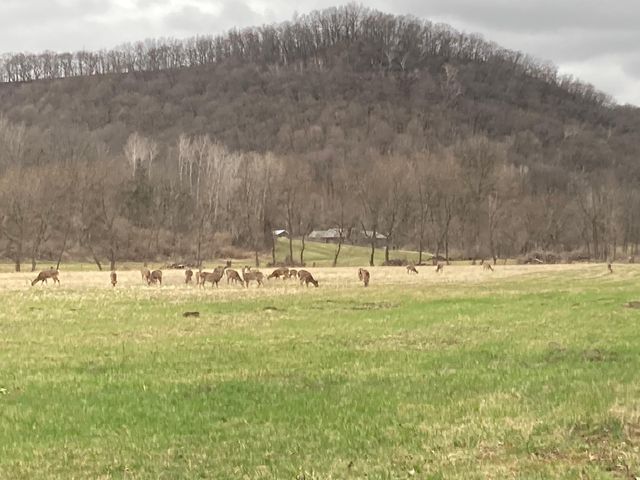 36415 Homer Valley Lane, Homer Twp, MN 55987