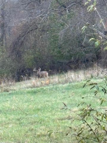 36415 Homer Valley Lane, Homer Twp, MN 55987