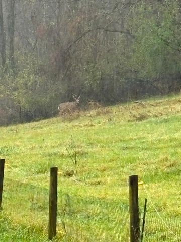 36415 Homer Valley Lane, Homer Twp, MN 55987