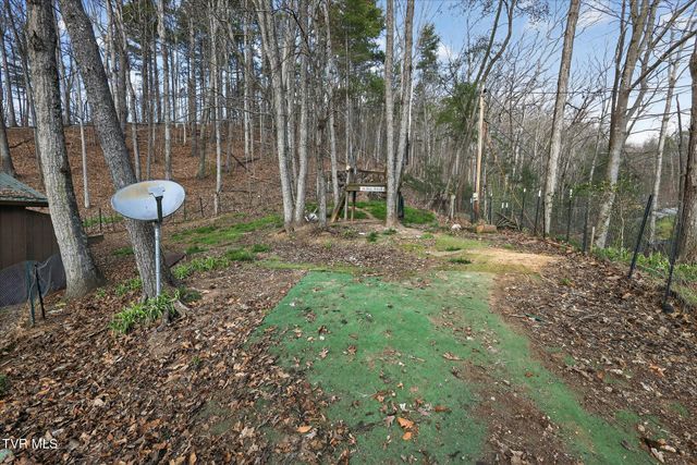 135 Hiddenwood Drive, Mountain City, TN 37683