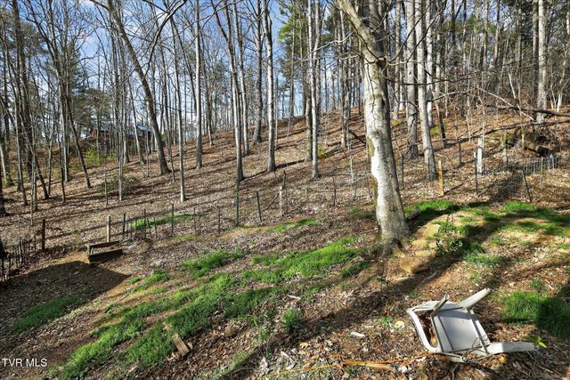 135 Hiddenwood Drive, Mountain City, TN 37683