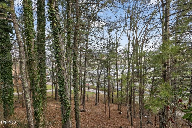 135 Hiddenwood Drive, Mountain City, TN 37683