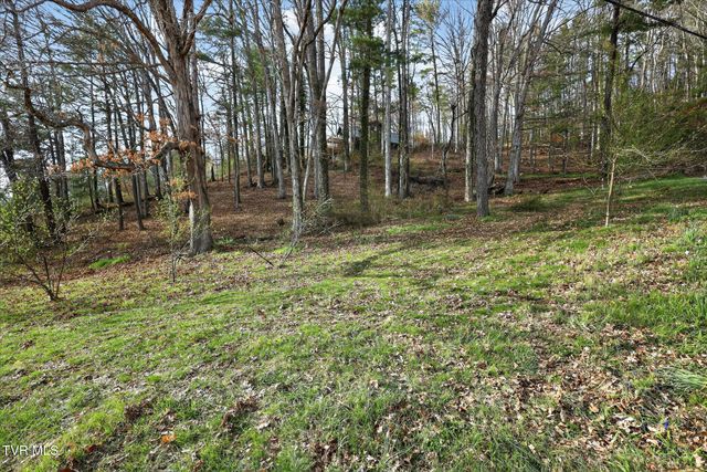 135 Hiddenwood Drive, Mountain City, TN 37683