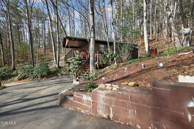135 Hiddenwood Drive, Mountain City, TN 37683