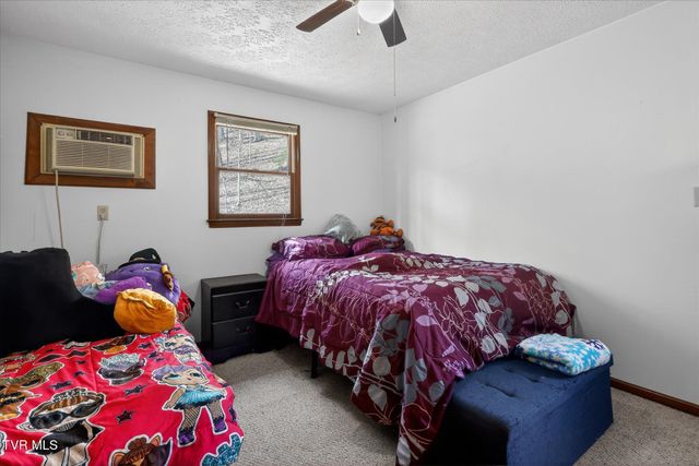 135 Hiddenwood Drive, Mountain City, TN 37683