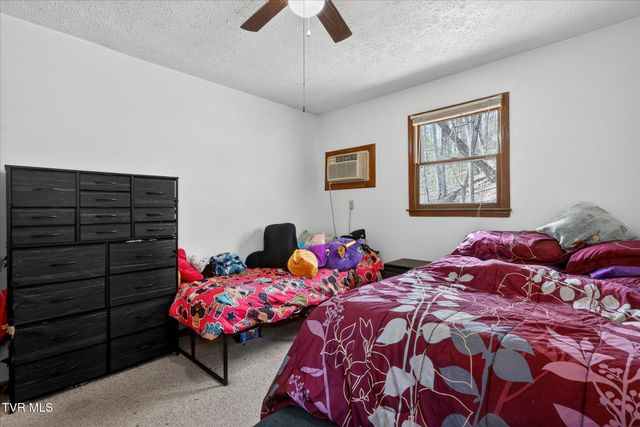 135 Hiddenwood Drive, Mountain City, TN 37683