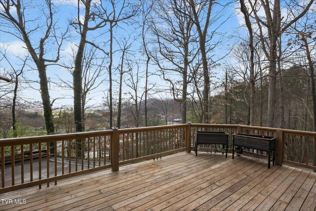 135 Hiddenwood Drive, Mountain City, TN 37683