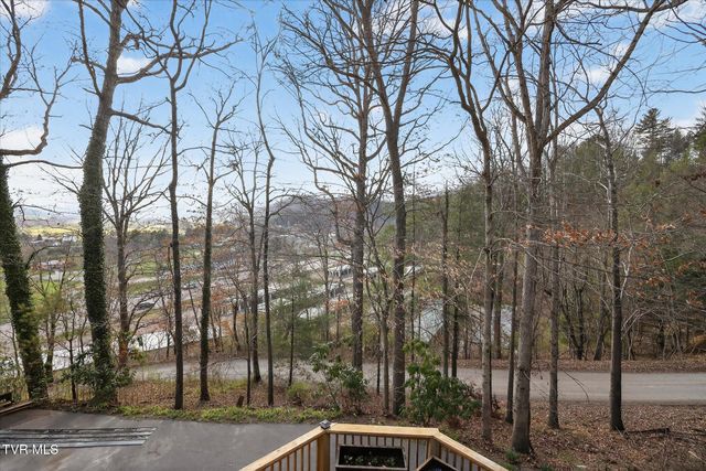 135 Hiddenwood Drive, Mountain City, TN 37683