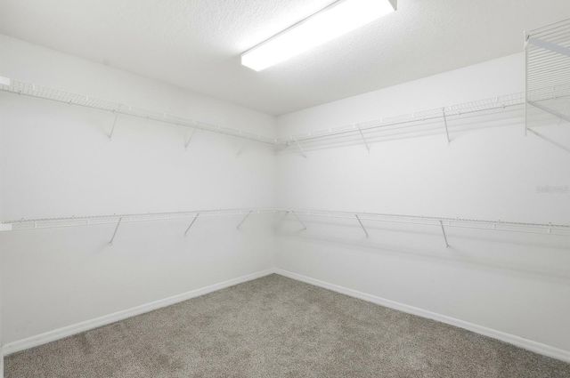 5839 BOGGS FORD ROAD, Port Orange, FL 32127