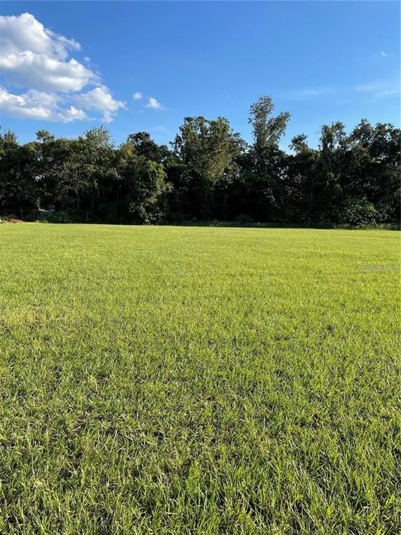 12705 MCINTOSH GROVES LANE, Thonotosassa, FL 33592
