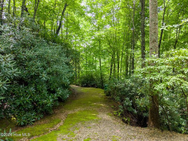324 Bill Crisp Road, Robbinsville, NC 28771