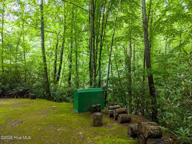 324 Bill Crisp Road, Robbinsville, NC 28771
