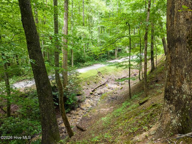324 Bill Crisp Road, Robbinsville, NC 28771