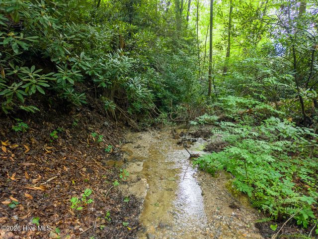 324 Bill Crisp Road, Robbinsville, NC 28771