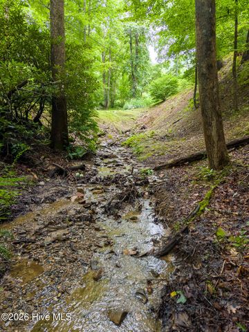 324 Bill Crisp Road, Robbinsville, NC 28771
