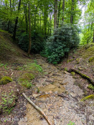 324 Bill Crisp Road, Robbinsville, NC 28771
