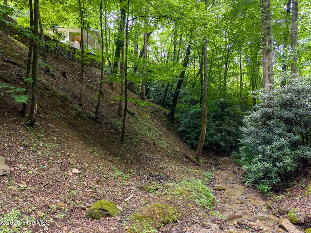 324 Bill Crisp Road, Robbinsville, NC 28771