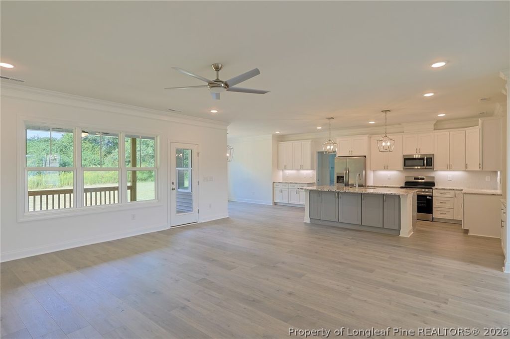 3223 Leaflet Church Road, Broadway, NC 27505 — photo 4