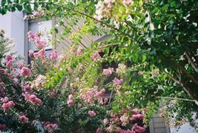 10051 Westpark Drive 242, Houston, TX 77042