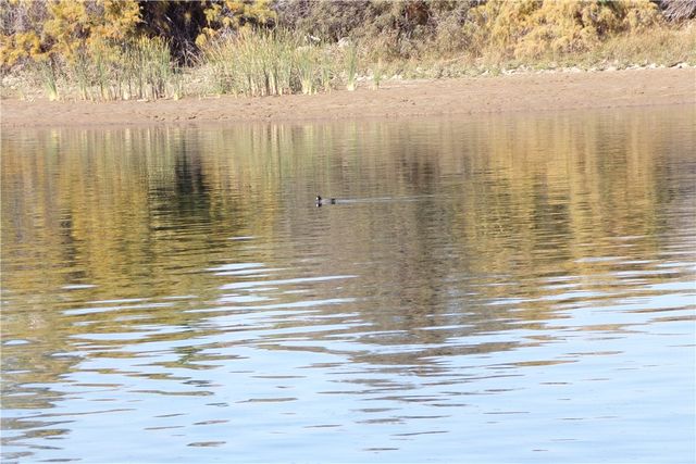 875 Riverfront Drive, Bullhead City, AZ 86442