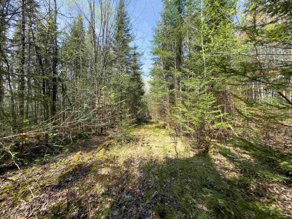 538 Oregon Road, Concord, VT 05824