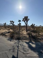 0 Division, Joshua Tree, CA 92252