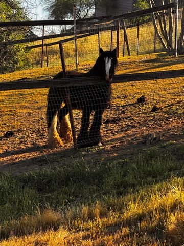 30723 Hamilton Drive, Exeter, CA 93221