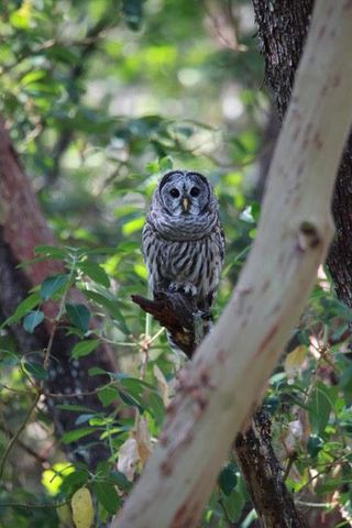 737 Pinecrest Drive, Grants Pass, OR 97527