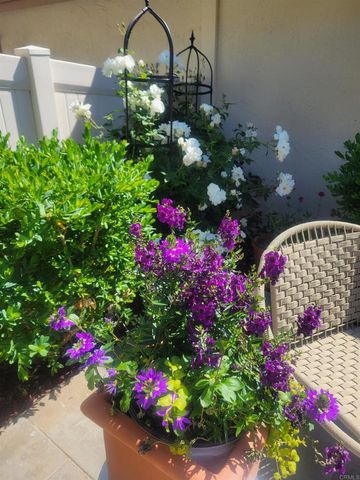 1809 Pleasantdale Drive, Encinitas, CA 92024