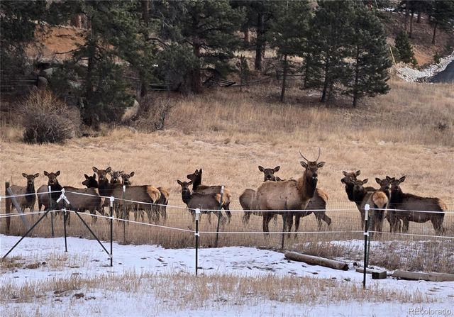 2565 Nova Road, Pine, CO 80470