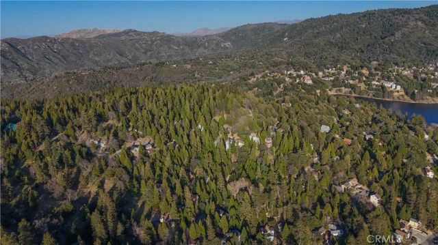 487 Wylerhorn Drive, Crestline, CA 92325
