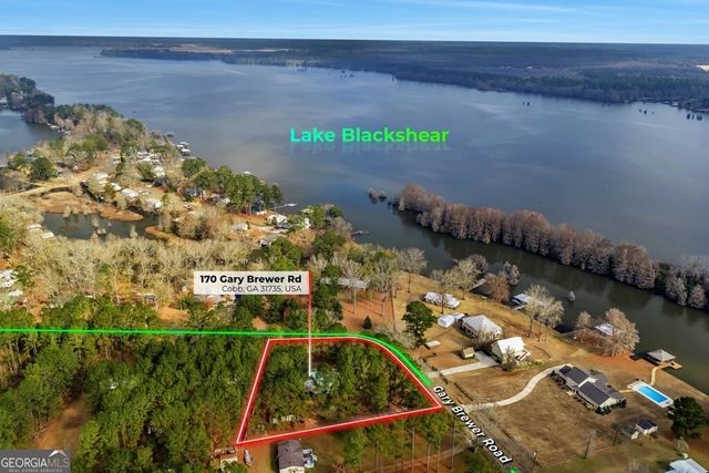 170 Gary Brewer Road, Cobb, GA 31735