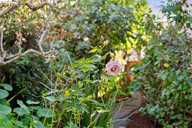 2520 Mcgee Ave, Berkeley, CA 94703