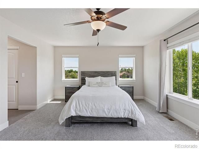 5547 Drake Way, Frederick, CO 80504