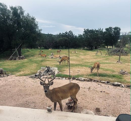 207 Deer Ridge DR, Burnet, TX 78611