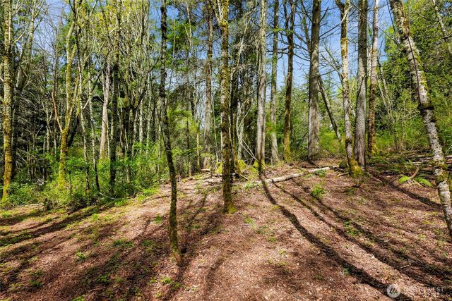 1800 40th Place, Bellingham, WA 98229
